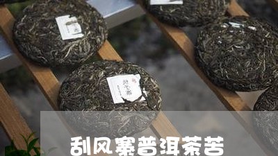 刮风寨普洱茶苦/2023102658602