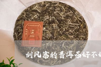 刮风寨的普洱茶好不好/2023061703947