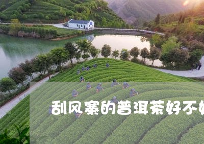 刮风寨的普洱茶好不好/2023072311718