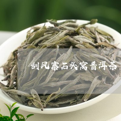 刮风寨石头窝普洱茶/2023101744605