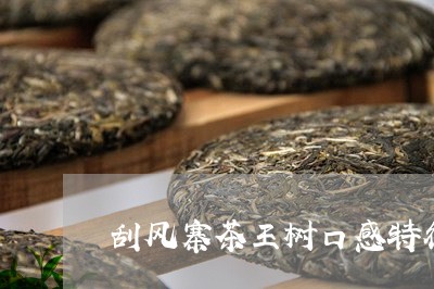 刮风寨茶王树口感特征/2023061005157