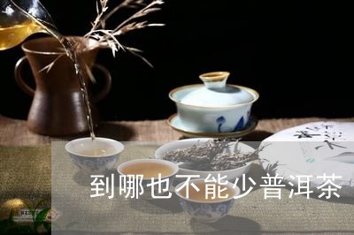 到哪也不能少普洱茶/2023120507147