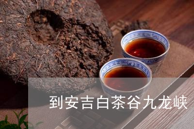 到安吉白茶谷九龙峡/2023071518570