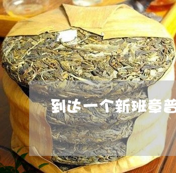 到达一个新班章普洱茶/2023072225051