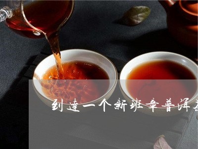 到达一个新班章普洱茶/2023092693837