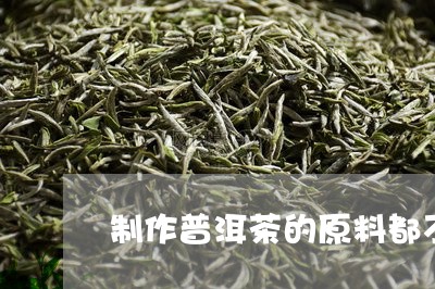 制作普洱茶的原料都不是好的/2023082673927