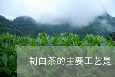 制白茶的主要工艺是/2023121740372