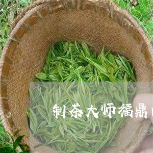 制茶大师福鼎白茶/2023090523038