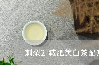 刺梨2减肥美白茶配方/2023092798548