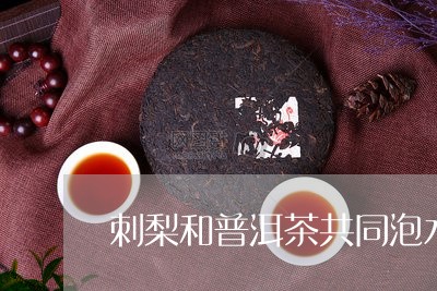 刺梨和普洱茶共同泡水/2023100807292