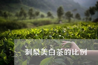 刺梨美白茶的比例/2023061590405