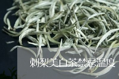 刺梨美白茶禁忌温度/2023121796571