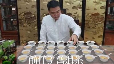 前任3普洱茶/2023042749307