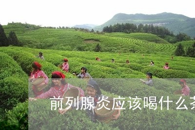 前列腺炎应该喝什么茶/2023071304037