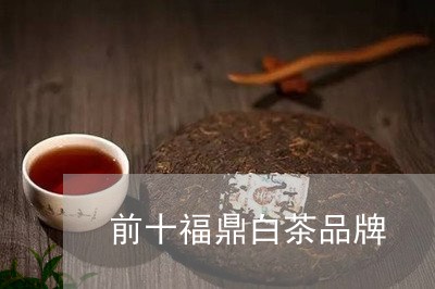 前十福鼎白茶品牌/2023061516158