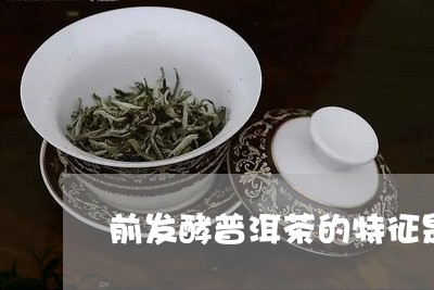 前发酵普洱茶的特征是啥/2023121526069