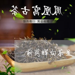 前岗辉白茶是什么茶/2023071550581