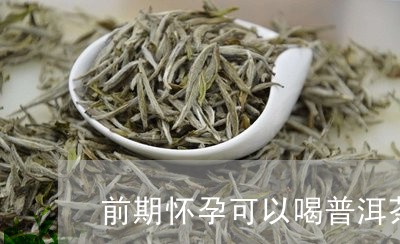 前期怀孕可以喝普洱茶吗/2023112836270