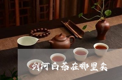 剑河白茶在哪里卖/2023061549683