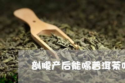 剖腹产后能喝普洱茶吗/2023092734157