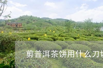 剪普洱茶饼用什么刀切/2023121517561