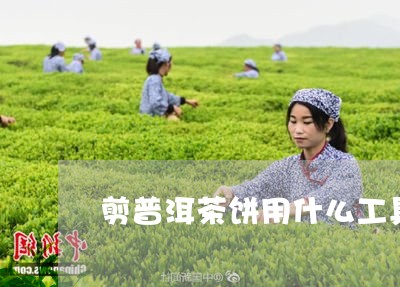 剪普洱茶饼用什么工具剪好看/2023121584938