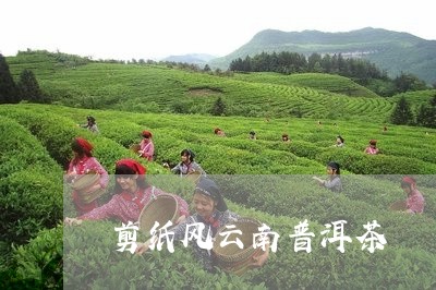 剪纸风云南普洱茶/2023082847382