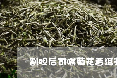 割胆后可喝菊花普洱茶/2023062033933