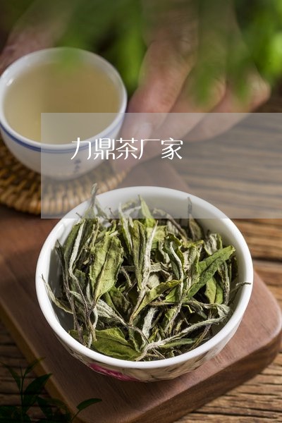 力鼎茶厂家/2023090250825