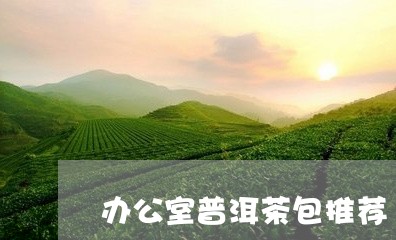 办公室普洱茶包推荐/2023121588279