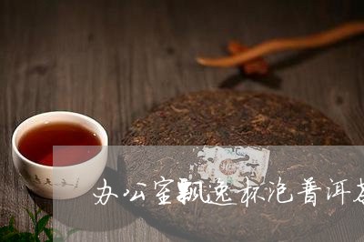 办公室飘逸杯泡普洱茶/2023120618503