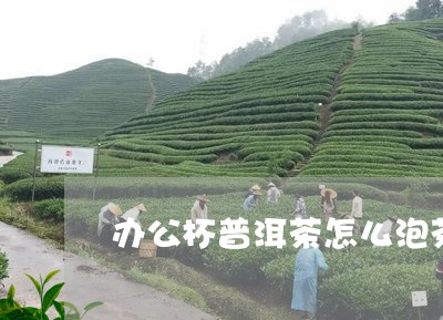 办公杯普洱茶怎么泡茶好/2023082807050