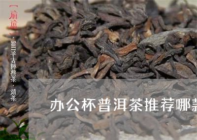 办公杯普洱茶推荐哪款最好/2023110552735