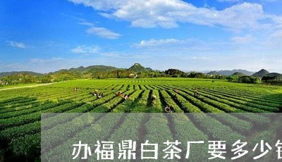 办福鼎白茶厂要多少钱/2023091563814