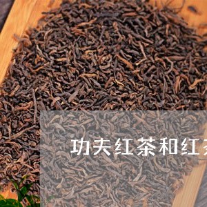 功夫红茶和红茶的区别/2023060894818