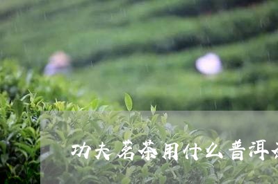 功夫茗茶用什么普洱茶泡/2023082889583