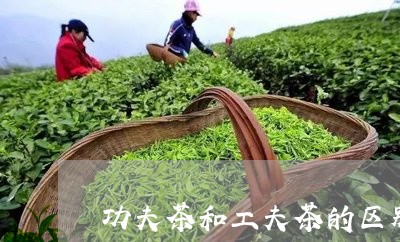 功夫茶和工夫茶的区别/2023092027393