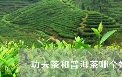 功夫茶和普洱茶哪个好/2023062429371