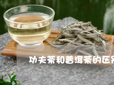 功夫茶和普洱茶的区别/2023062252704