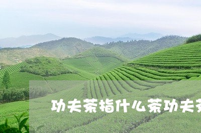 功夫茶指什么茶功夫茶是啥意思/2023060121605