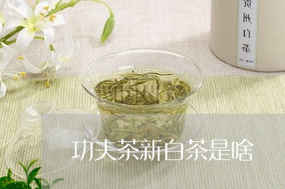 功夫茶新白茶是啥/2023061504828