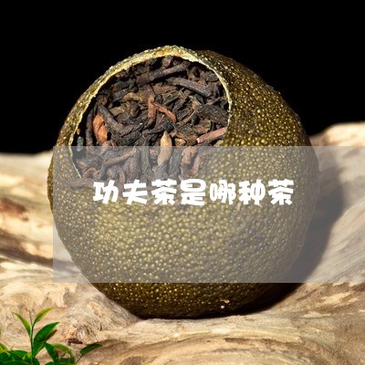 功夫茶是哪种茶/2023042914766