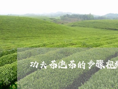 功夫茶泡茶的步骤视频/2023060835258