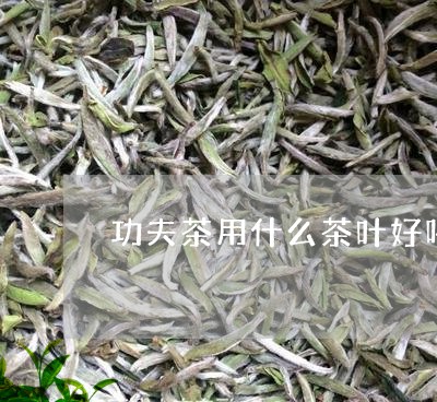 功夫茶用什么茶叶好喝/2023092237372