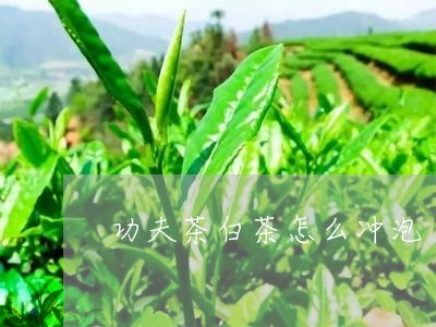 功夫茶白茶怎么冲泡/2023071556171