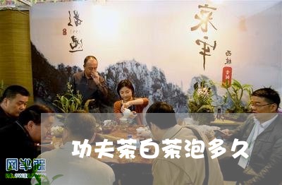 功夫茶白茶泡多久/2023061575039