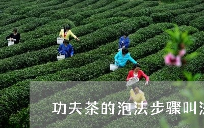 功夫茶的泡法步骤叫法/2023071574836