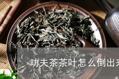 功夫茶茶叶怎么倒出来/2023092331603