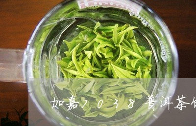 加嘉7038普洱茶饼/2023100518481