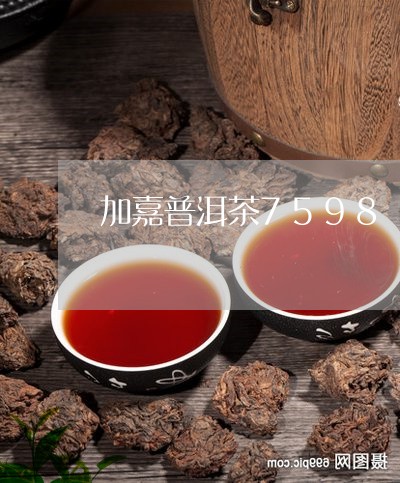 加嘉普洱茶7598/2023070844748